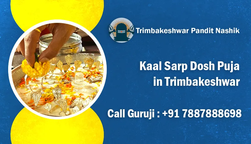 Kaal Sarp Dosh Puja In Trimbakeshwar